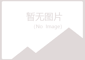 岚山区冰蓝会计有限公司